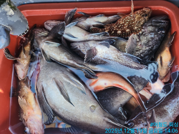 어청도피싱_사진_20251219_13.jpg