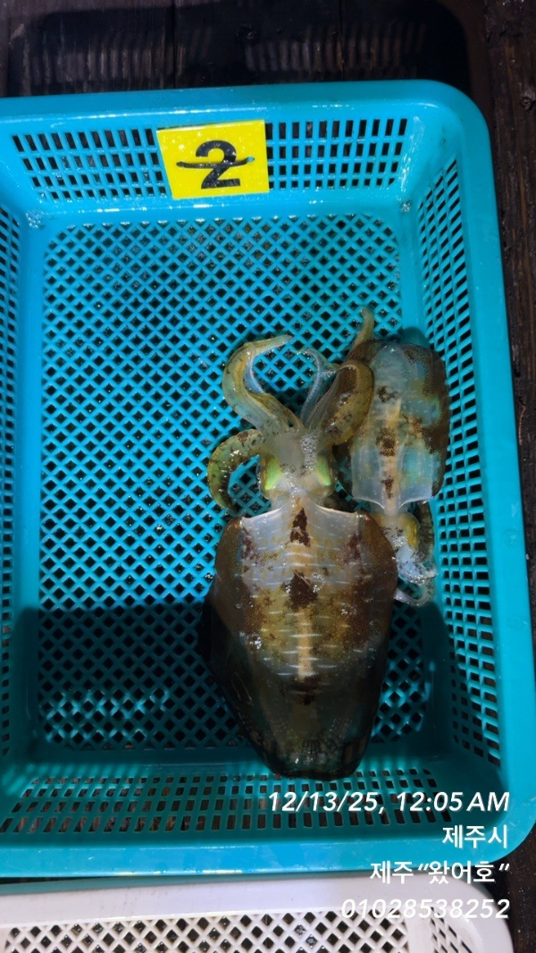 제주왔어호_사진_20251214_15.jpg