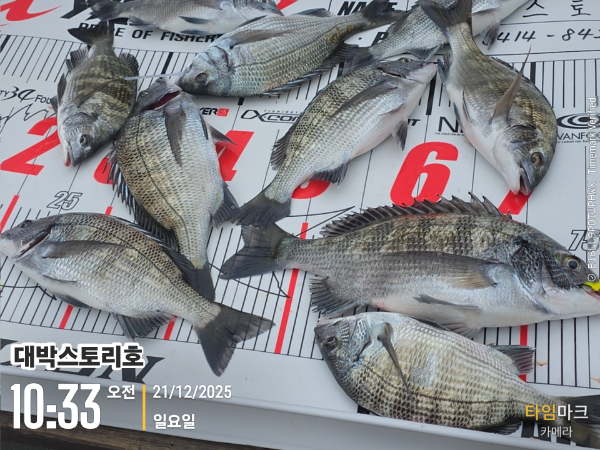 2025-12-21 10.33.14__(대박스토리호).jpg