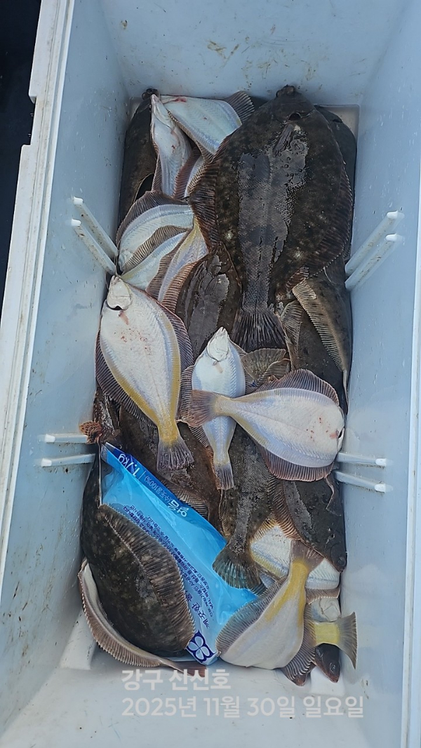 신신낚시 강구점 신신호_사진_20251130_19.jpg