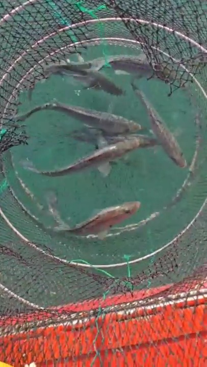 2025_12_02 19_38(3).jpg