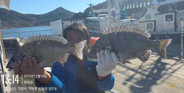 2025-12-18 13.14.23_507-8, 거제면.jpg