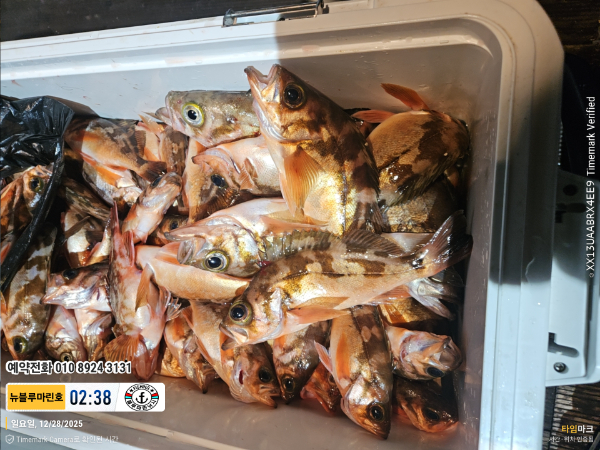 2025-12-28 02.38.02_대한민국_(제목-뉴블루마린호)_(예약전화 010 8924 3131).jpg