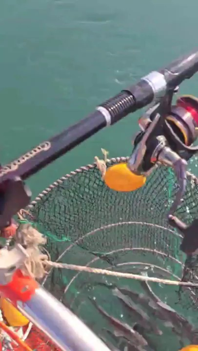 2025_12_02 19_38(2).jpg