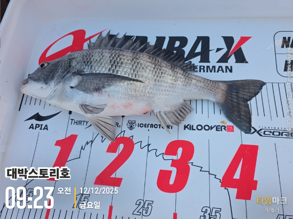 2025-12-12 09.23.36__(대박스토리호).jpg