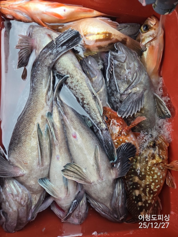 최강피싱 063.463.0800_사진_20251227_23 - 복사본.jpg