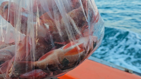 Screenshot_20251228_161322_Video Player.jpg