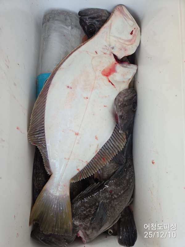 최강피싱 063.463.0800_사진_20251211_37.jpg