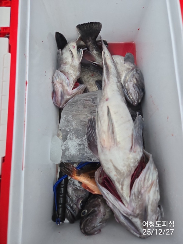 최강피싱 063.463.0800_사진_20251227_31.jpg