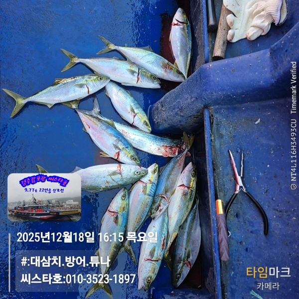 2025-12-18 16.15.41__(#-대삼치.방어.튜나)_(씨스타호-010-3523-1897).jpg