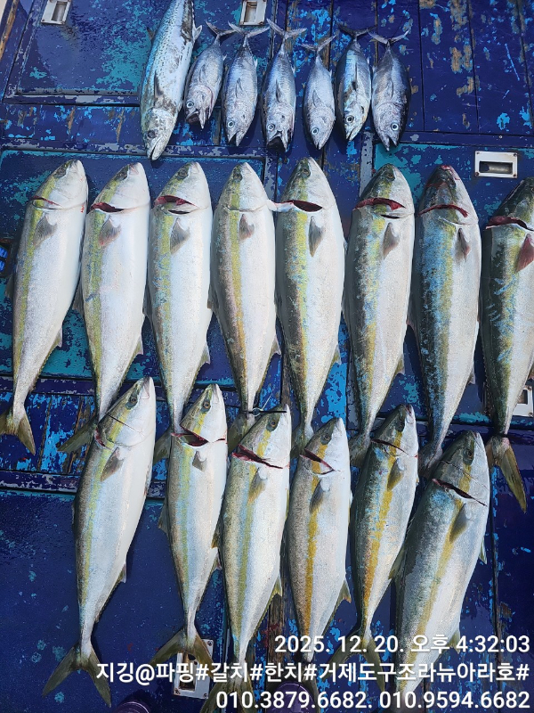 거제도 구조라  뉴아라호 (지깅, 파핑,한치,갈치,타이바라 전문)_사진_20251221_2.jpg