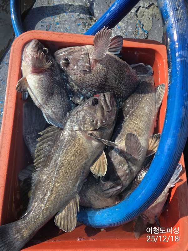 최강피싱 063.463.0800_사진_20251219_35.jpg