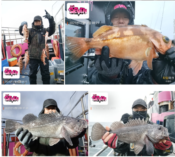 스크린샷 2025-12-14 125009.png