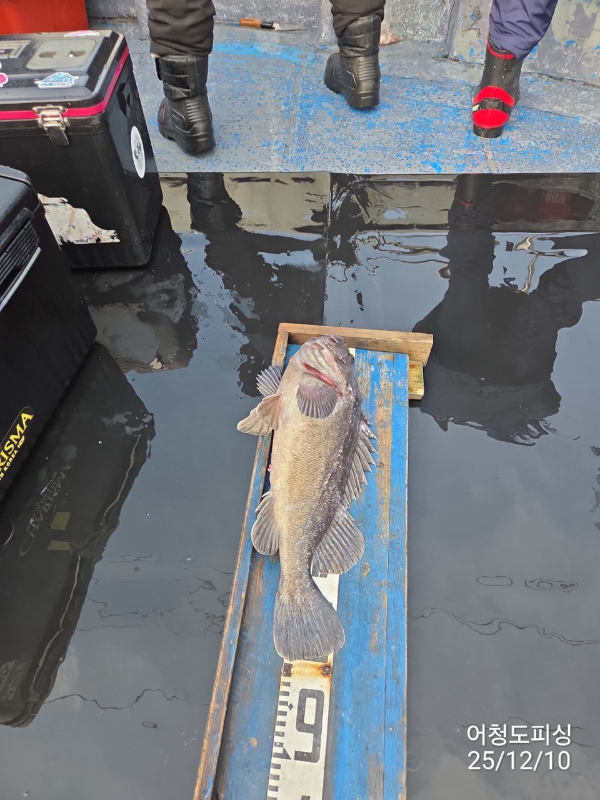 최강피싱 063.463.0800_사진_20251211_3.jpg