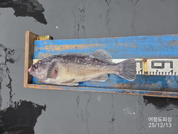 최강피싱 063.463.0800_사진_20251213_9.jpg