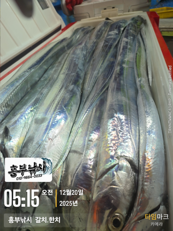2025-12-20 05.15.51__(-흥부낚시  갈치.한치).jpg