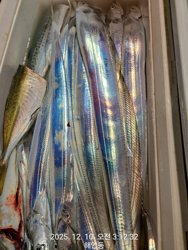 제주선상낚시피닉스호_사진_20251210_2.jpg