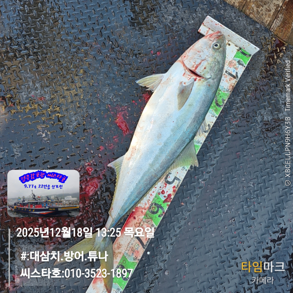 2025-12-18 13.25.09__(#-대삼치.방어.튜나)_(씨스타호-010-3523-1897).jpg