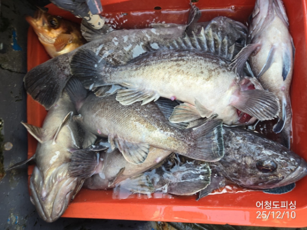 최강피싱 063.463.0800_사진_20251211_30 - 복사본.jpg