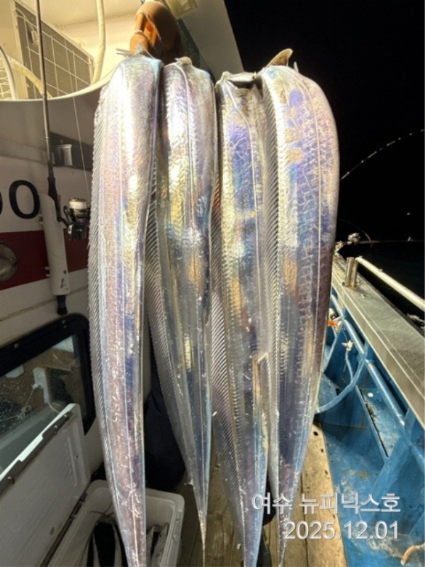 20912월2일갈치 (53).jpg