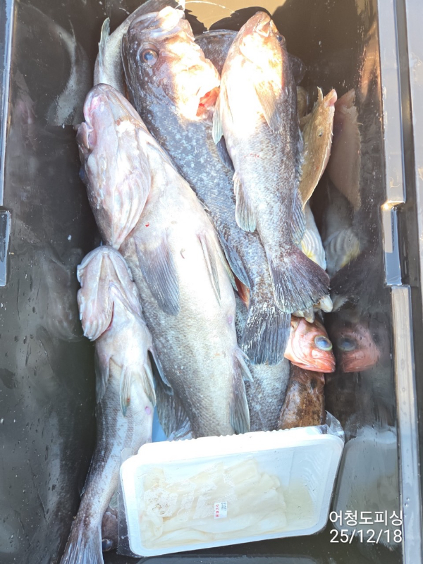 최강피싱 063.463.0800_사진_20251219_52.jpg