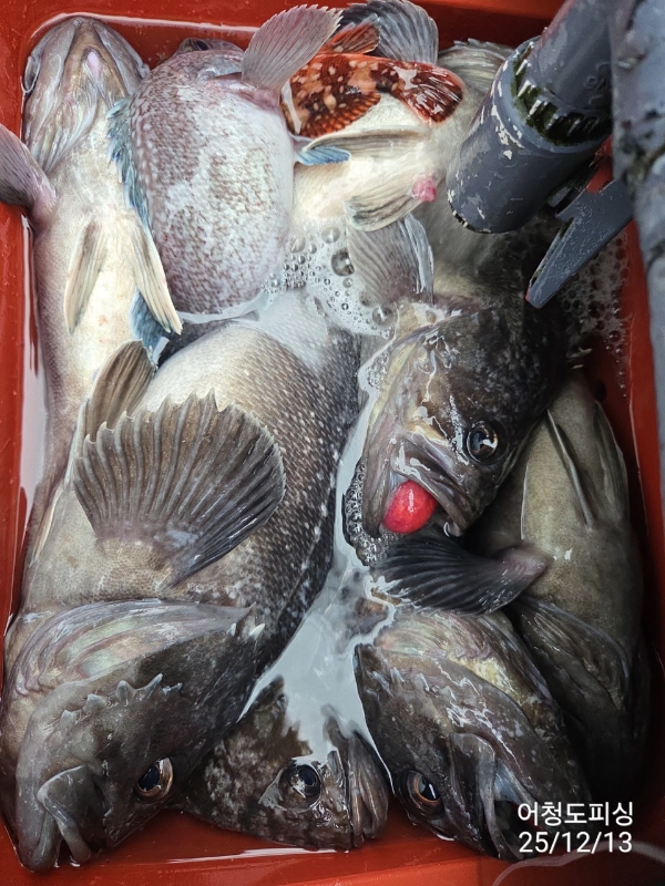 최강피싱 063.463.0800_사진_20251213_37.jpg