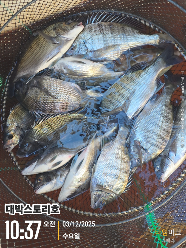 2025-12-03 10.37.02__(대박스토리호).jpg