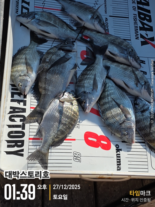 2025-12-27 01.39.37__(대박스토리호).jpg