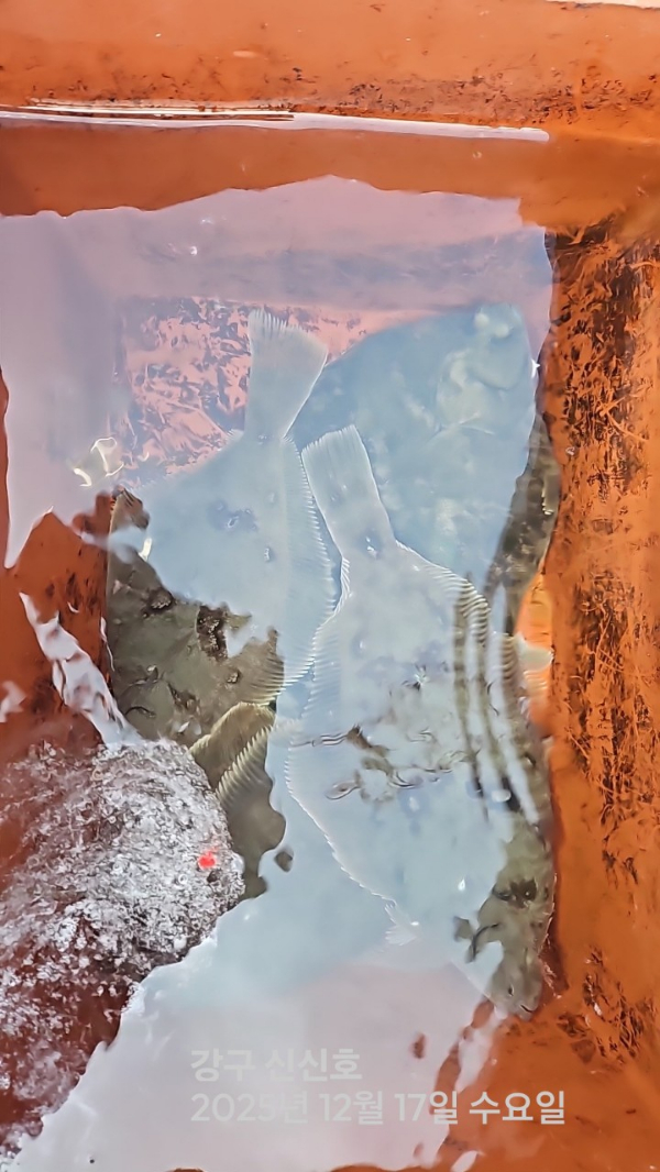 신신낚시 강구점 신신호_사진_20251217_3.jpg