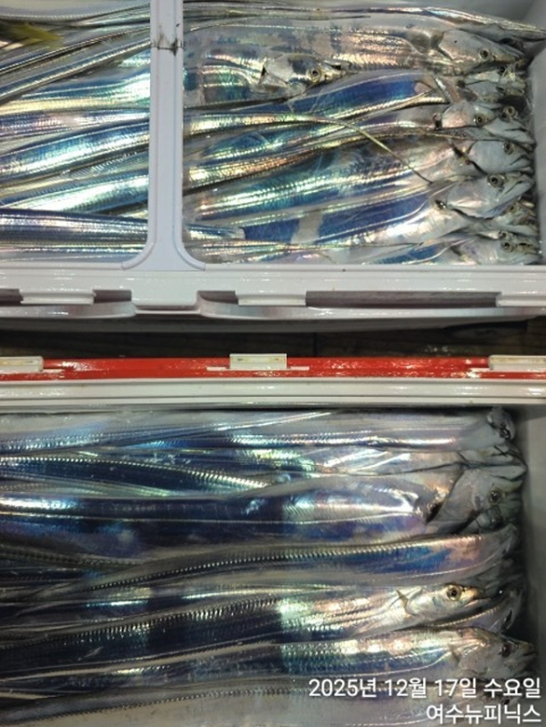 20912월17일대갈치 (51).jpg