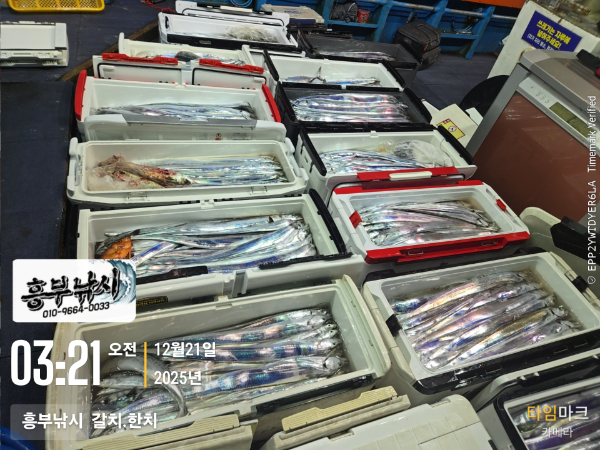 2025-12-21 03.21.27__(-흥부낚시  갈치.한치).jpg