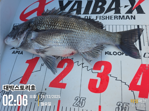 2025-12-29 02.06.57__(대박스토리호).jpg