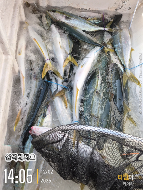 2025-12-02 14.05.40_.jpg