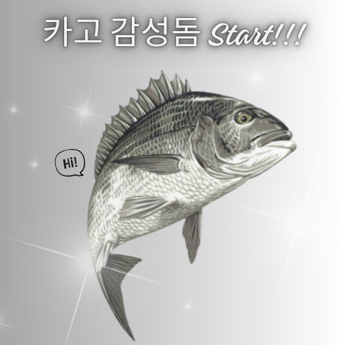 감성돔.png
