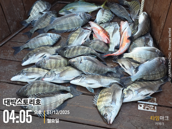 2025-12-01 04.05.20__(대박스토리호).jpg