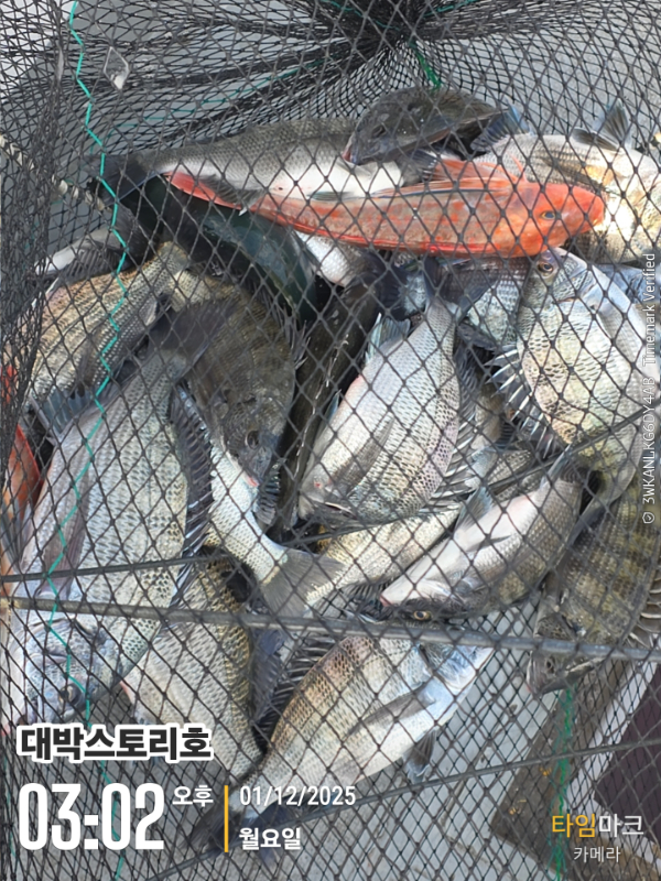 2025-12-01 03.02.04__(대박스토리호).jpg