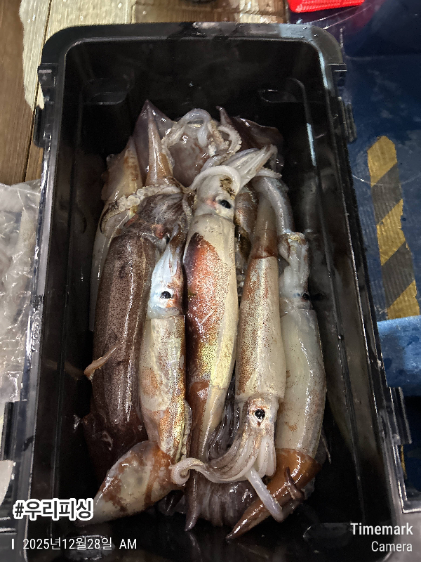 2025-12-28 02.55.59_(#우리피싱).jpeg