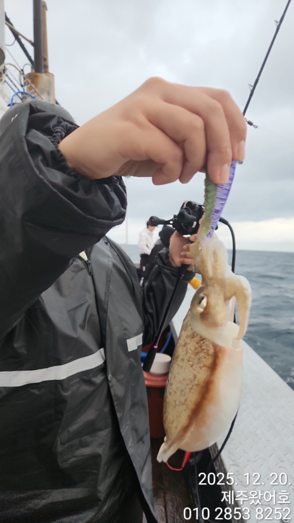 제주왔어호_사진_20251220_27.jpg