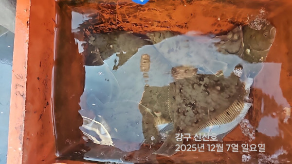 신신낚시 강구점 신신호_사진_20251207_8.jpg