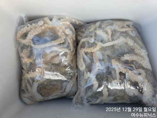 12월29일쭈구미 (42).jpg