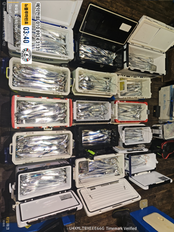 2025-12-02 03.40.04_Japan_(제목-뉴블루마린호)_(예약전화 010 8924 3131).jpg