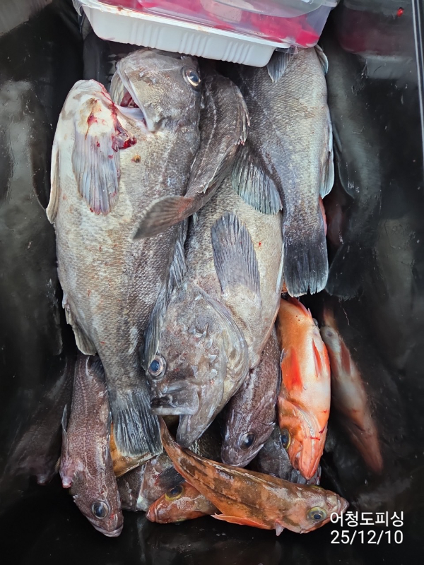 최강피싱 063.463.0800_사진_20251211_43 - 복사본.jpg