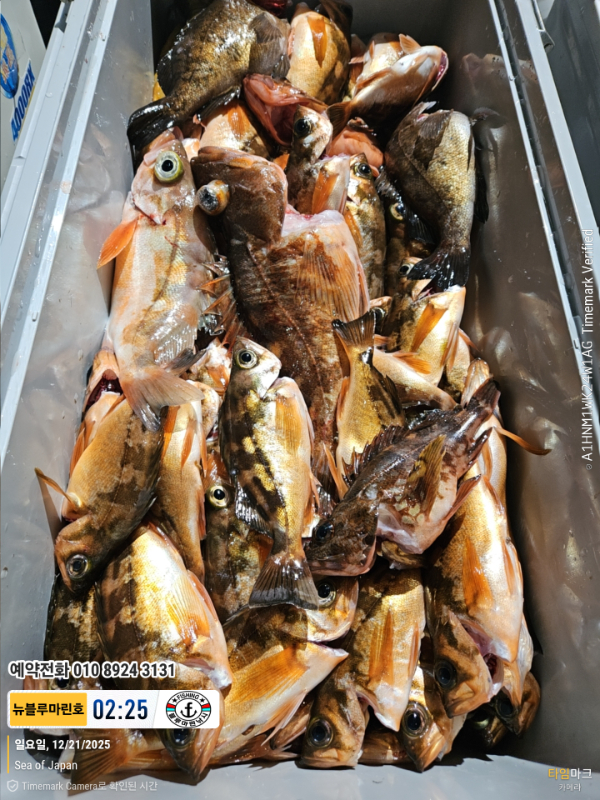 2025-12-21 02.25.57_Japan_(제목-뉴블루마린호)_(예약전화 010 8924 3131).jpg