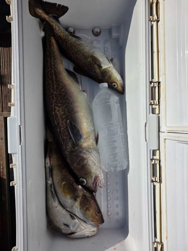 BandPhoto_2025_12_19_10_25_51 (1).jpg