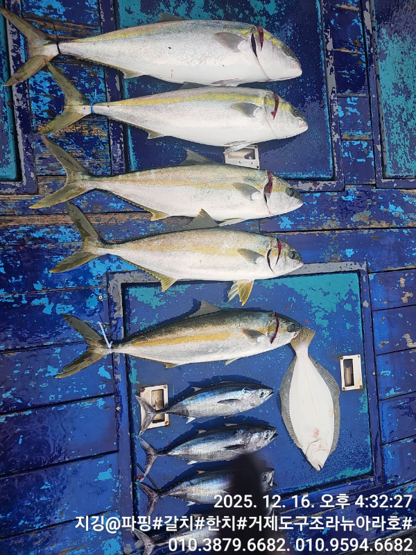 거제도 구조라  뉴아라호 (지깅, 파핑,한치,갈치,타이바라 전문)_사진_20251217_1.jpg