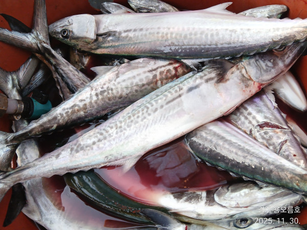 KakaoTalk_20251130_185422243_05 (1).jpg