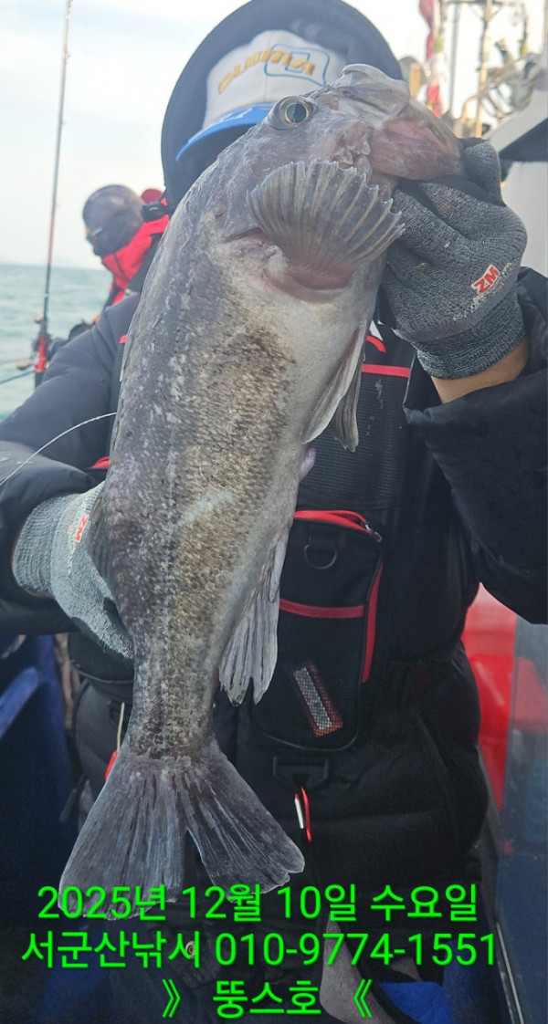 군산 선상낚시, 바다낚시 출조 전문 ☆서군산낚시☆_사진_20251210_10.jpg