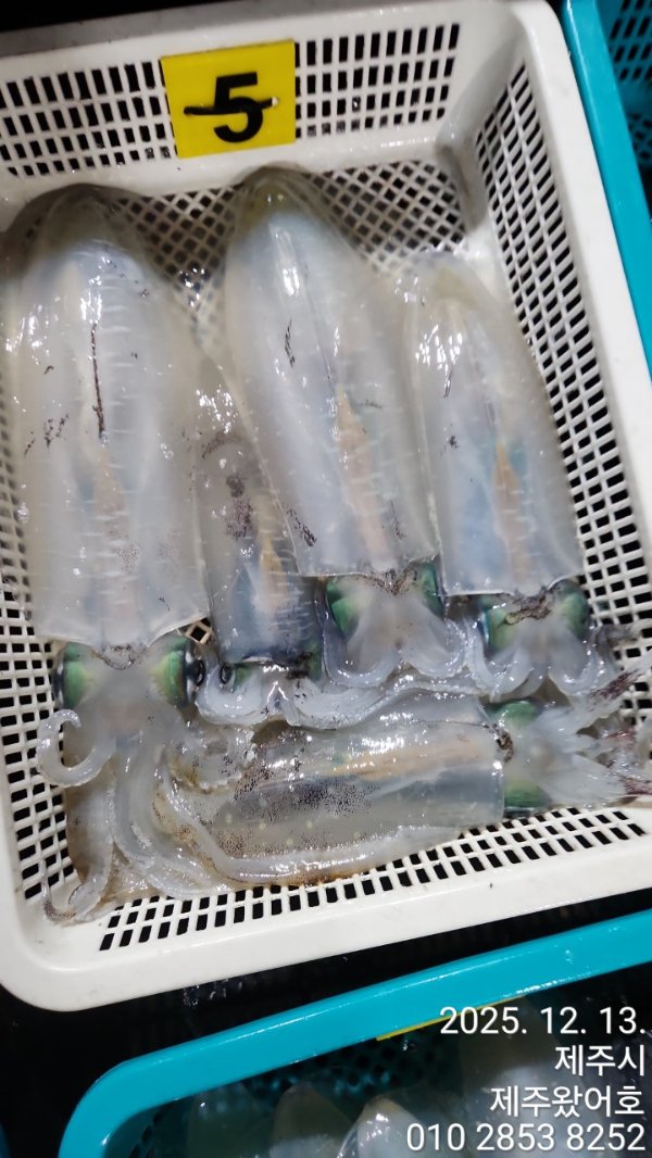제주왔어호_사진_20251214_17.jpg