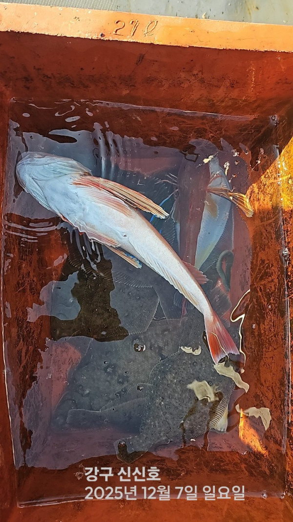 신신낚시 강구점 신신호_사진_20251207_2.jpg