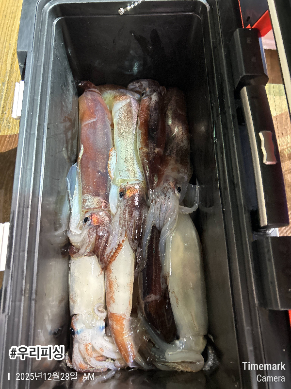 2025-12-28 02.56.38_(#우리피싱).jpeg